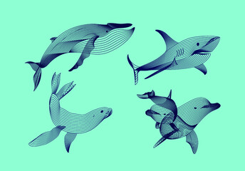 Set marine graphic animals. Vector illustration. The shark, whale,  dolphin, seal consist of lines.Digital elements design  for business cards, invitations, gift cards, flyers and brochures, web.
