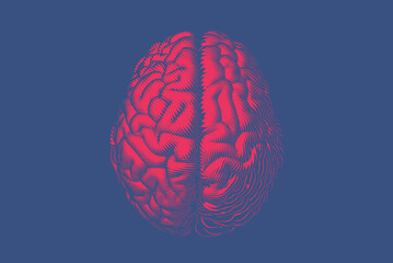 Red engraving brain vector illustration isolated on blue BG