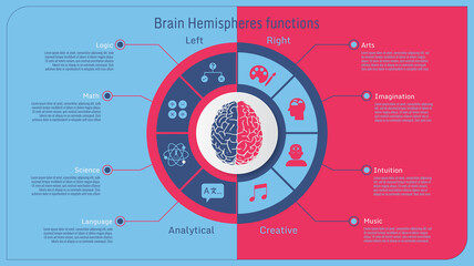 human brain hemispheres functional inforgraphic BG
