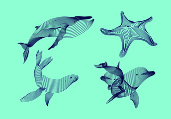 Set marine graphic animals. Vector illustration. The starfish, whale,  dolphin, seal consist of lines.Digital elements design  for business cards, invitations, gift cards, flyers and brochures, web.