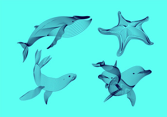 Set marine graphic animals. illustration. The starfish, whale,  dolphin, seal consist of lines.Digital elements design  for business cards, invitations, gift cards, flyers and brochures, web.