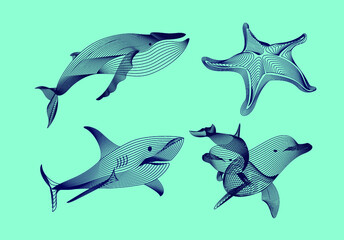 Fototapeta premium Set marine graphic animals. Vector illustration. The starfish, shark, whale, dolphin consist of lines.Digital elements design for business cards, invitations, gift cards, flyers and brochures, web.