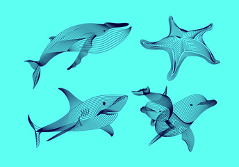 Set marine graphic animals. illustration. The starfish, shark, whale,  dolphin consist of lines.Digital elements design  for business cards, invitations, gift cards, flyers and brochures, web.