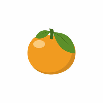 Mandarin isolated on a white background. Vector image of a Mandarin. Fruits and healthy food.