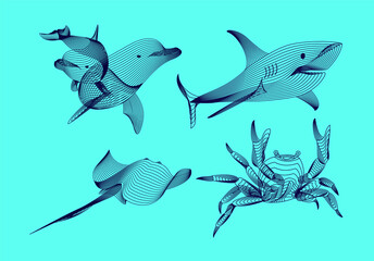 Set marine graphic animals. illustration. The crab,  shark,  dolphin,  cramp consist of lines.Digital elements design  for business cards, invitations, gift cards, flyers and brochures, web.