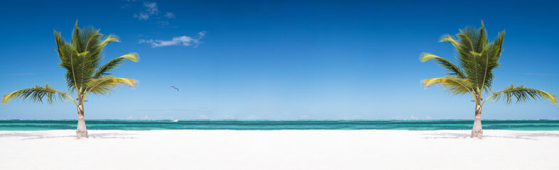 Coconut palm trees on tropical sandy shore. Caribbean destinations. Travel on the beach