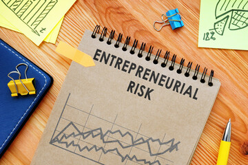 Entrepreneurial Risk report and calculations with charts.