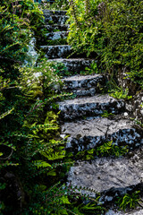 Weathered Stone Stairs With Narrow Path And Vegetation