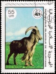 Postage stamp issued in the Mauritania with the image of the Barbary sheep, Ammotragus lervia. From the series on WWF, circa 1978