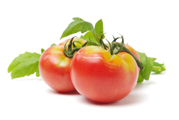 fresh tomato isolated on white background