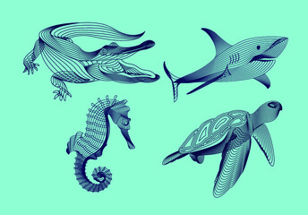 Set marine graphic animals. Vector illustration. The shark, sea horse, turtle, crocodile consist of lines.Digital elements design  for business cards, invitations, gift cards, flyers and brochures, we