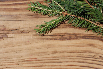 christmas composition with branches of christmas tree on wooden background