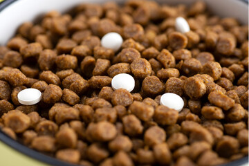 Cat food with tablets in a bowl. Vitamins for cats. Treating cats