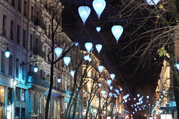 La rue de la république illuminée la nuit, ville de Lyon, département du Rhône, France