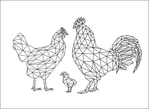 Isolated chicken family in low polygonal style on white background. Rooster, chicken and chick. Polygonal design for logo, for printing on clothing or poster. Vector illustration.