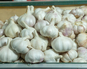 white garlic piled in a pile on the counter in the bazaar