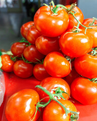 red ripe tomatoes with a branch lie on the market