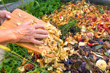 Composting at home concept - senior woman emptying food waste and vegetable leftovers into garden compost pit for making compost. Organic biodegradable waste container
