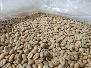 Coffee green beans in white Plastic