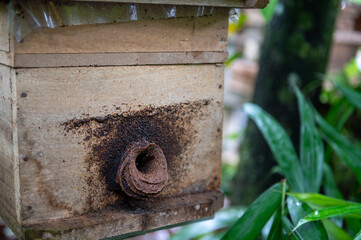 Wooden box for Stingless bee or beekeeping