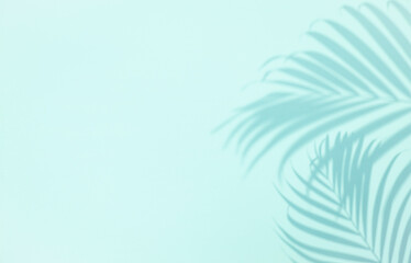 Shadow of tropical palm tree leaf on pastel blue background,  copyspace. Minimal summer concept