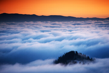 Sunrise light over an alpine sea of clouds