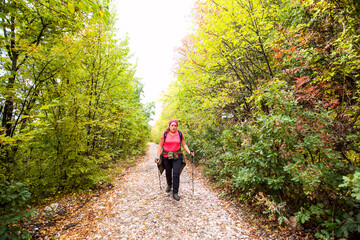 Obraz premium Woman with backpack hike on foggy autumn day through forest. Healthy lifestyle. Nature landscape.