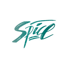 Fototapeta premium Vector illustration of spice brush lettering for banner, flyer, poster, clothes, menu, shop, cafe logo, advertisement design. Handwritten text for template, signage, billboard, print, price list 