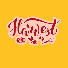 Vector illustration of harvest brush lettering for banner, leaflet, poster, logo, advertisement design. Handwritten text for template, signage, billboard, print, flyer, invitation, home decor
