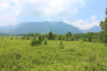 戦場ヶ原と男体山。戦場ヶ原は奥日光に広がる湿原。中禅寺湖をめぐって男体山（二荒山）と赤城山の神様がそれぞれ大蛇と大ムカデに化身し戦った場所と伝わる。