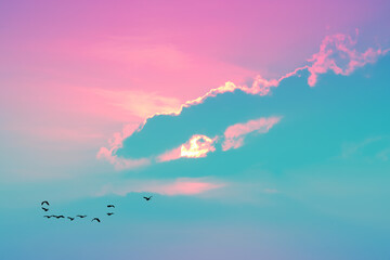 sunset on evening light pastel cloud on the sky and birds flying to home