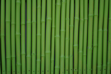 Bamboo material vertical fence green stalk pattern background design
