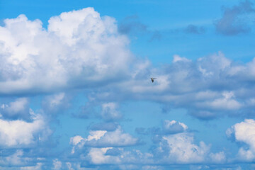 one bird fly on clear blue sky heap white cloud on sea