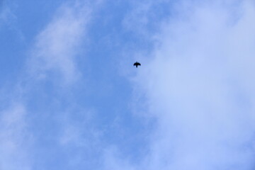 Intensive clods on the sky, intensive sky.