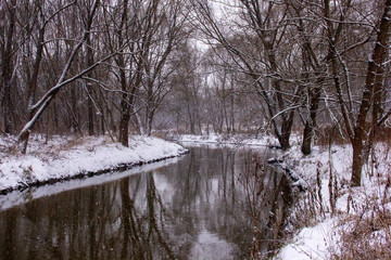 river in winter forest