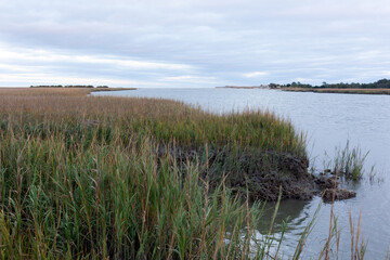 Johnson Creek, Beaufort, SC. 