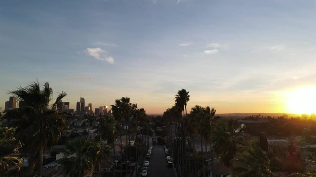 Palm Tree lined street With Los Angeles in background
