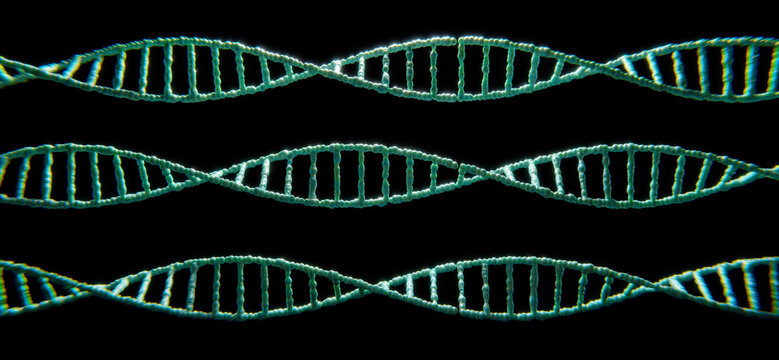 DNA Molek&uuml;l Doppel Helix: Thema Evolution oder Gentechnik