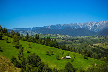 Naklejka premium Stunning alpine landscape with green fields and high snowy Piatra Craiului mountains near Brasov. Mountain farm with old wooden house. Bran, Transylvania, Romania, Europe.