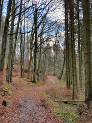 Dreimühlen Wasserfall Tour