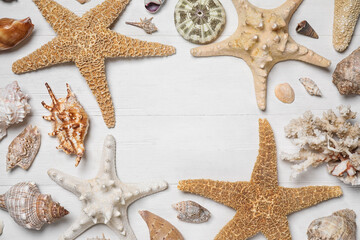Frame of sea shells and starfishes on white wooden background, flat lay. Space for text