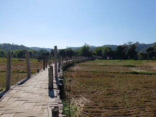 Old wooden path in the rice field