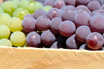 The taste of life ...