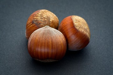 Fresh hazelnuts over black background with soft defocus