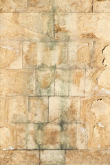 Old decorative brick layer. Brown brick wall background.