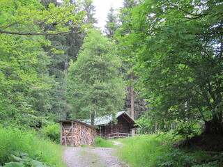 Fototapeta na wymiar Almhütte im Wald