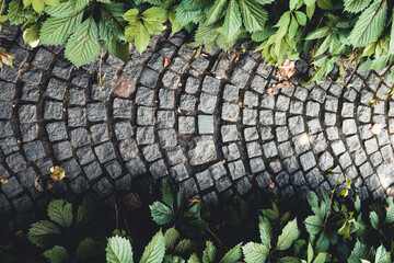 Old paving stones. Gray rectangular stones laid like tiles. Damp ancient path.