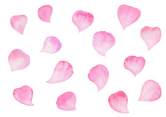 たくさんのピンクの花びら　水彩イラスト