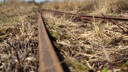 Blick auf die Schiene einer Moorbahn
