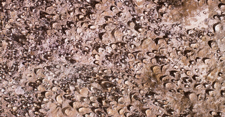 condensation water droplets on the wall